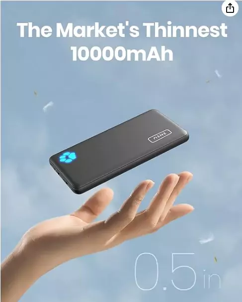 INIU Portable Charger